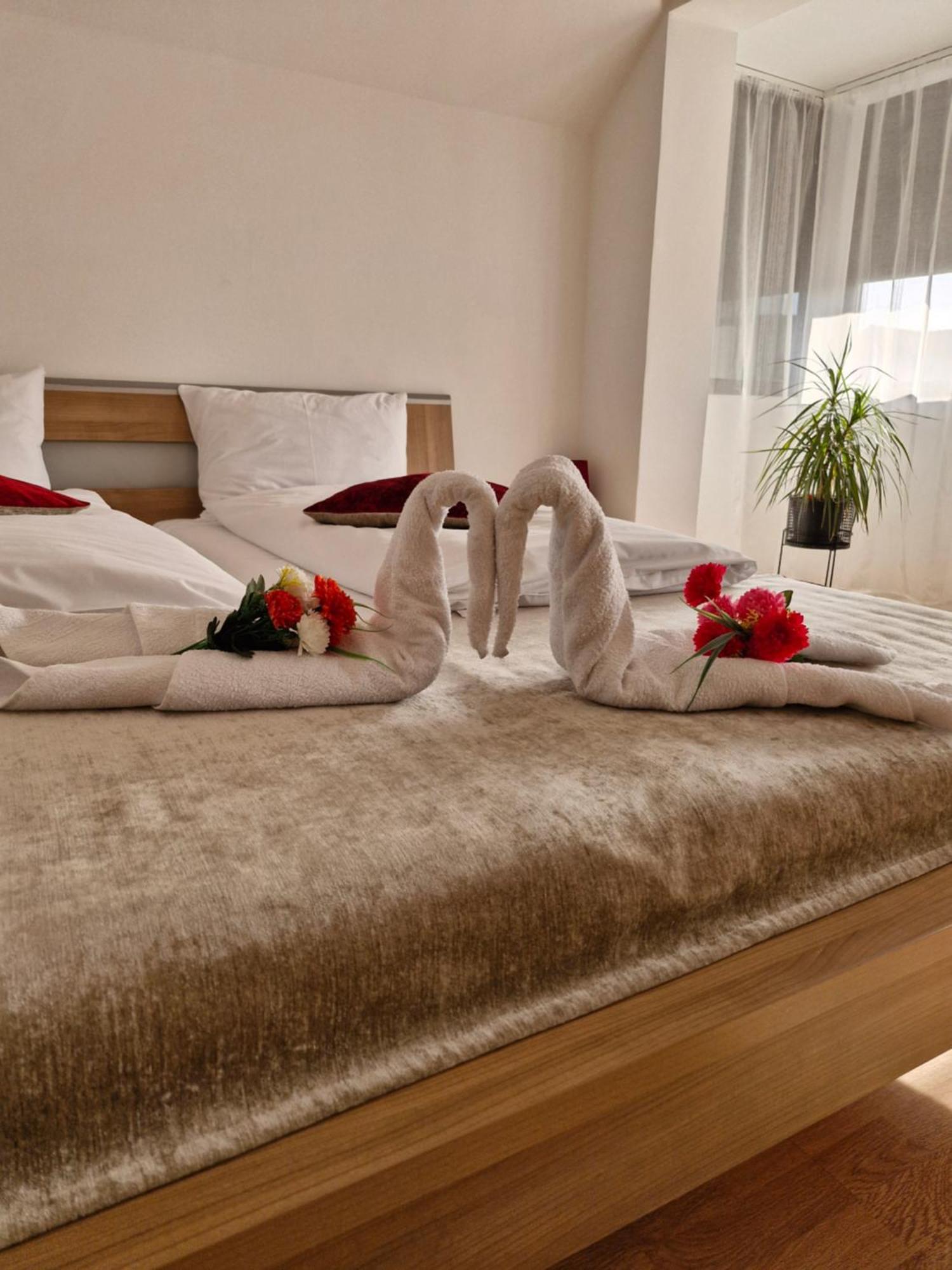 Mary Apartment シビウ エクステリア 写真